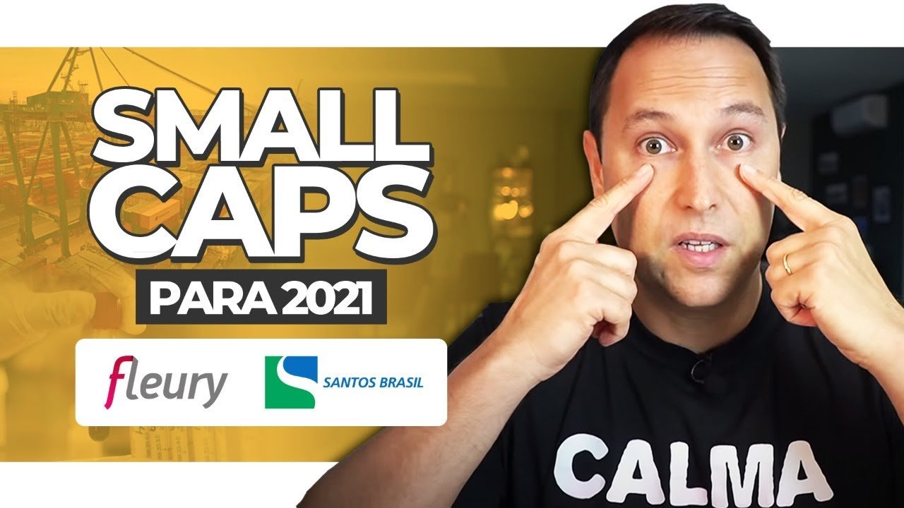 SMALL CAPS para 2021: Vale a pena investir na FLEURY e na SANTOS BRASIL? FLRY3 e STBP3