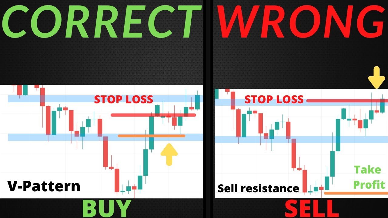 Our Global Forex Community