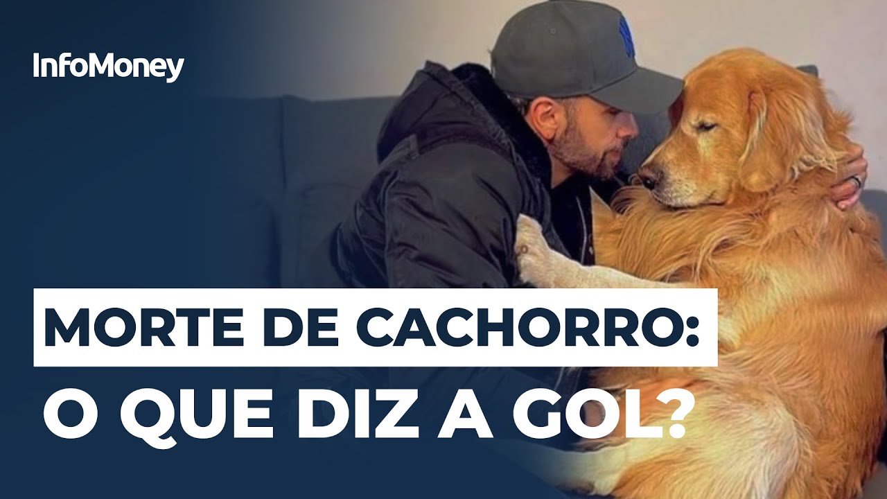 MORTE DE CACHORRO: família acusa a Gol de negligência