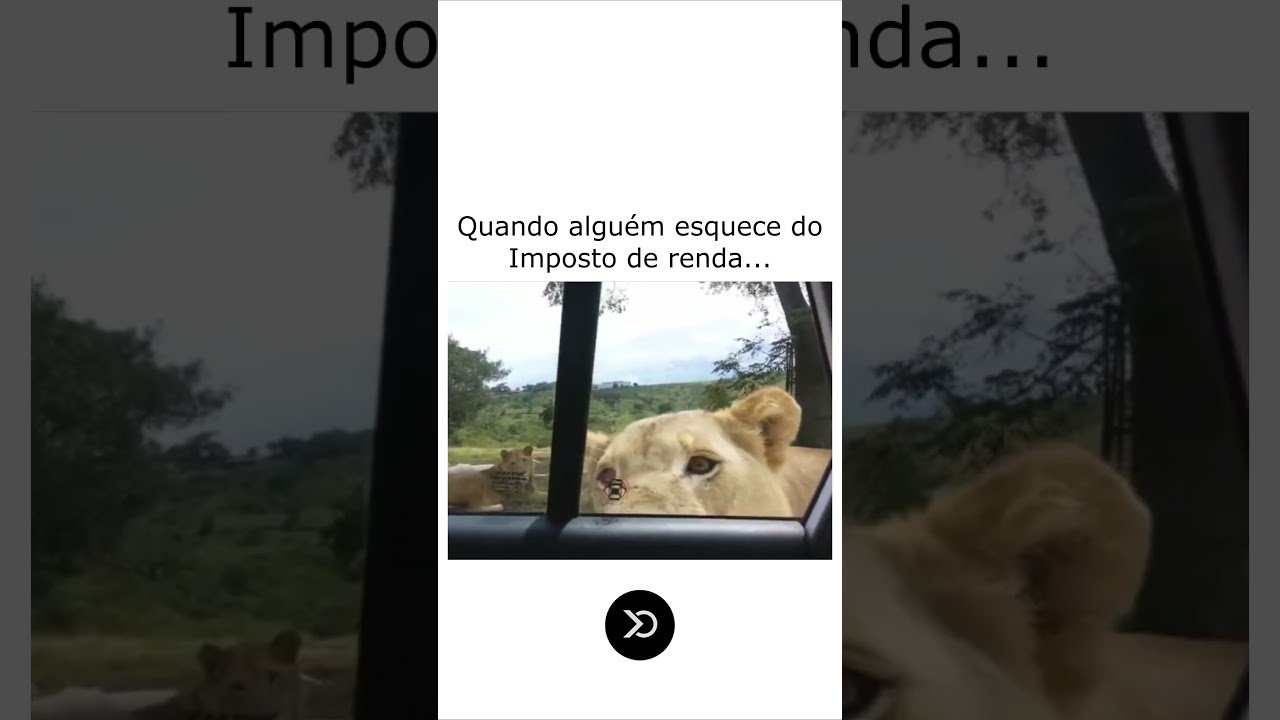 ainda bem que existe a mycapital! #vivendodetrade #daytrade #memes