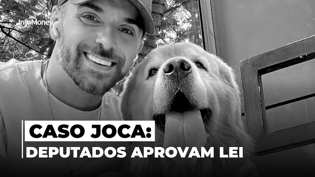 CASO JOCA: Câmara aprova PL que obriga aéreas a rastrear transporte de pets
