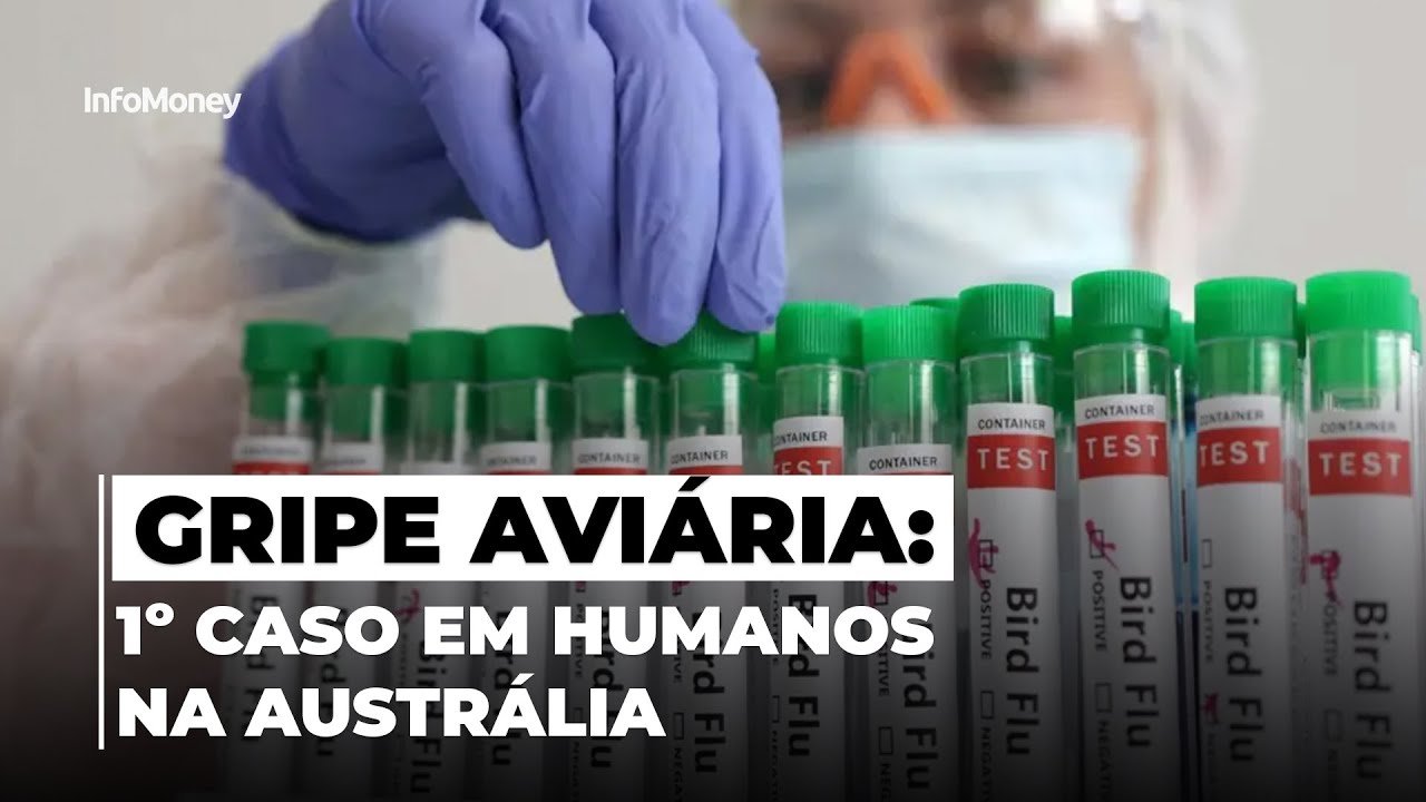GRIPE AVIÁRIA: Austrália tem primeiro caso da infecção em humanos