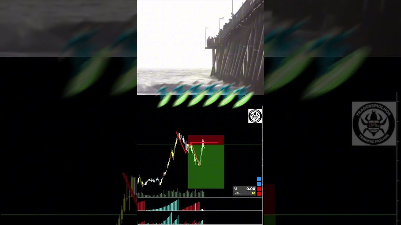 #surf #vendas #trader #daytrade #trading #bolsadevalores #loss #gains #top #mercadofinanceiro #gain
