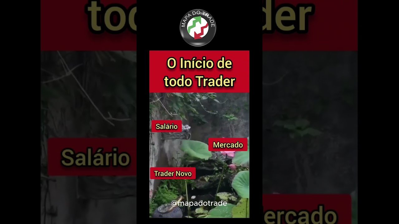 Inicio do trader. #trader #daytrade #bolsadevalores
