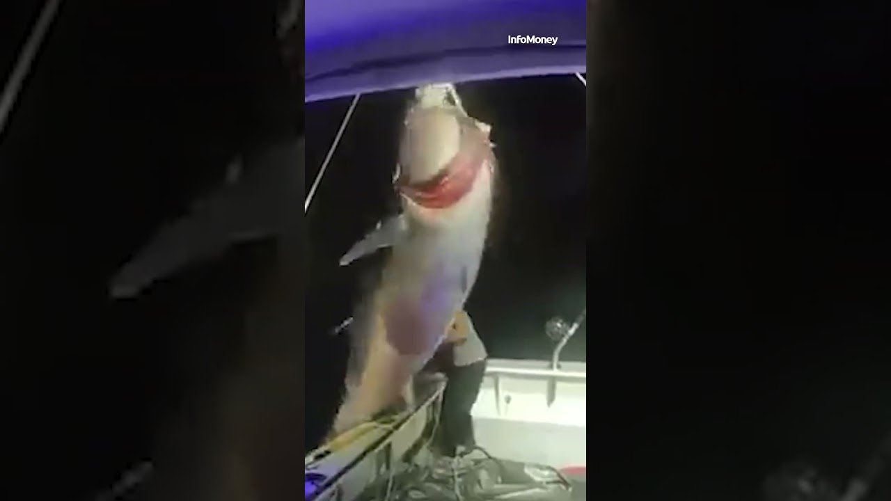 Capitã pesca atum com mais de 400kg