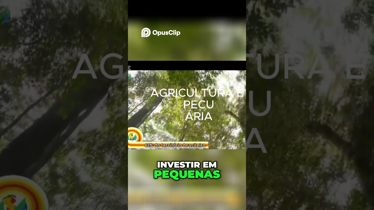 Onde Investir no Amapá  4 Ideias para Lucros Rápidos