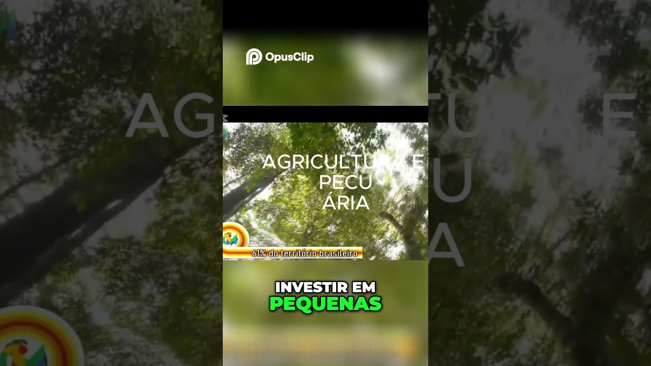 Onde Investir no Amapá  4 Oportunidades Imperdíveis
