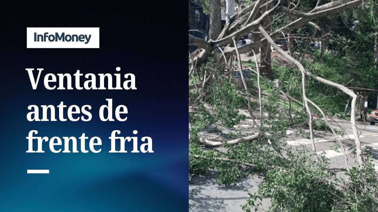 Frente fria: ventos de 63km/h derrubam árvores e deixam dois feridos em São Paulo | InfoMoney News