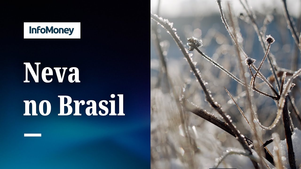 Neva no Brasil pela primeira vez em 2025 | InfoMoney News