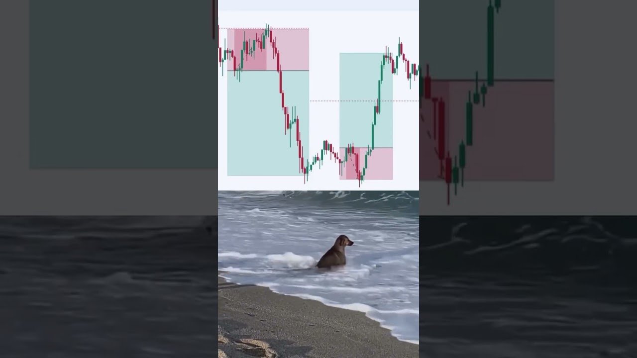 When You Follow Your Rukes but still lose 😓 #trading #forex #daytrading bl#lose #bitcoin
