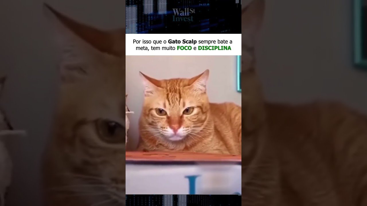 📢 Por isso que o Gato Scalp sempre bate a meta, tem muito FOCO e Disciplina 📈