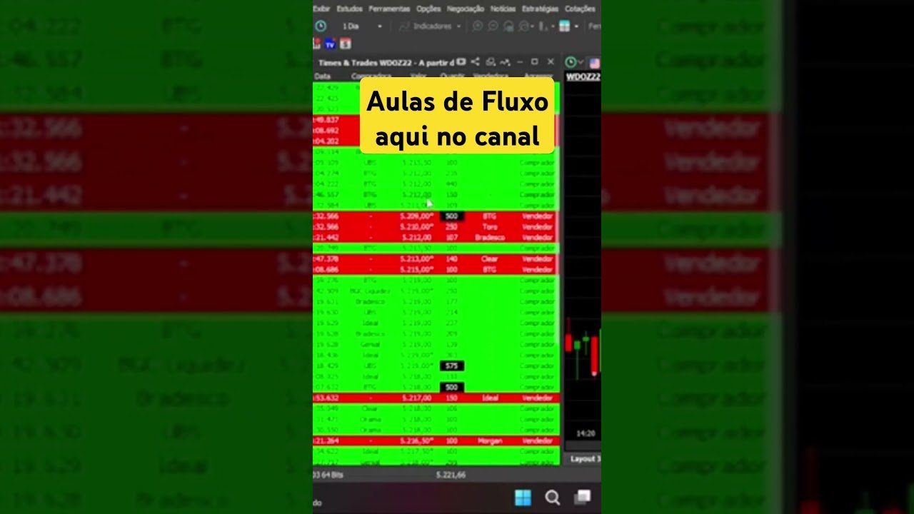 Aulas de Fluxo #daytrade