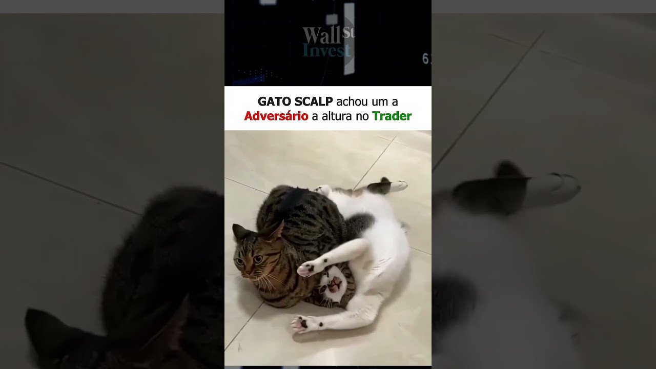 📢 GATO SCALP achou um Adversário a altura no Trader 📈