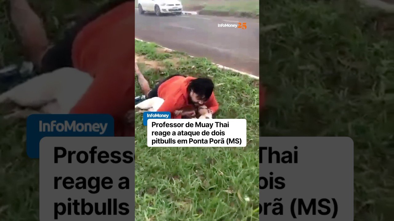 Professor de Muay Thai reage a ataque de dois pitbulls em Ponta Porã (MS)