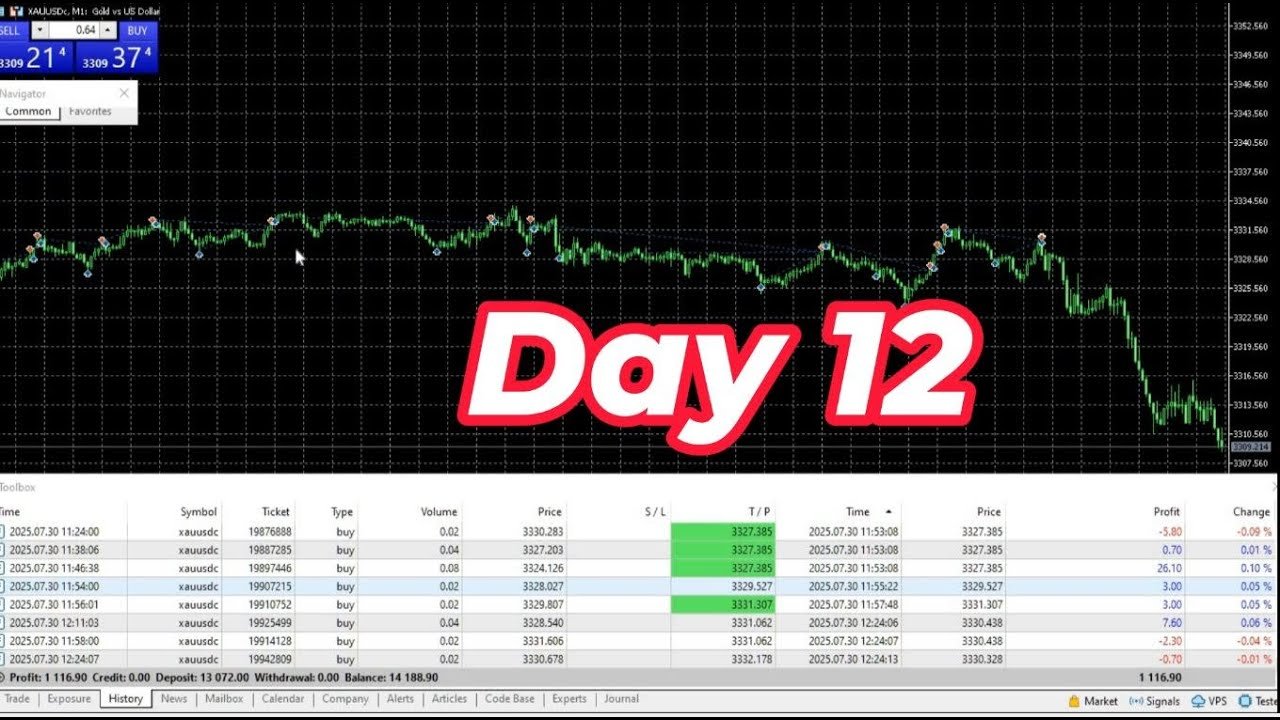 Free Forex Robo Trading Software 2025 | Auto Trading Robot for Beginners | Forex Robot MT4/MT5