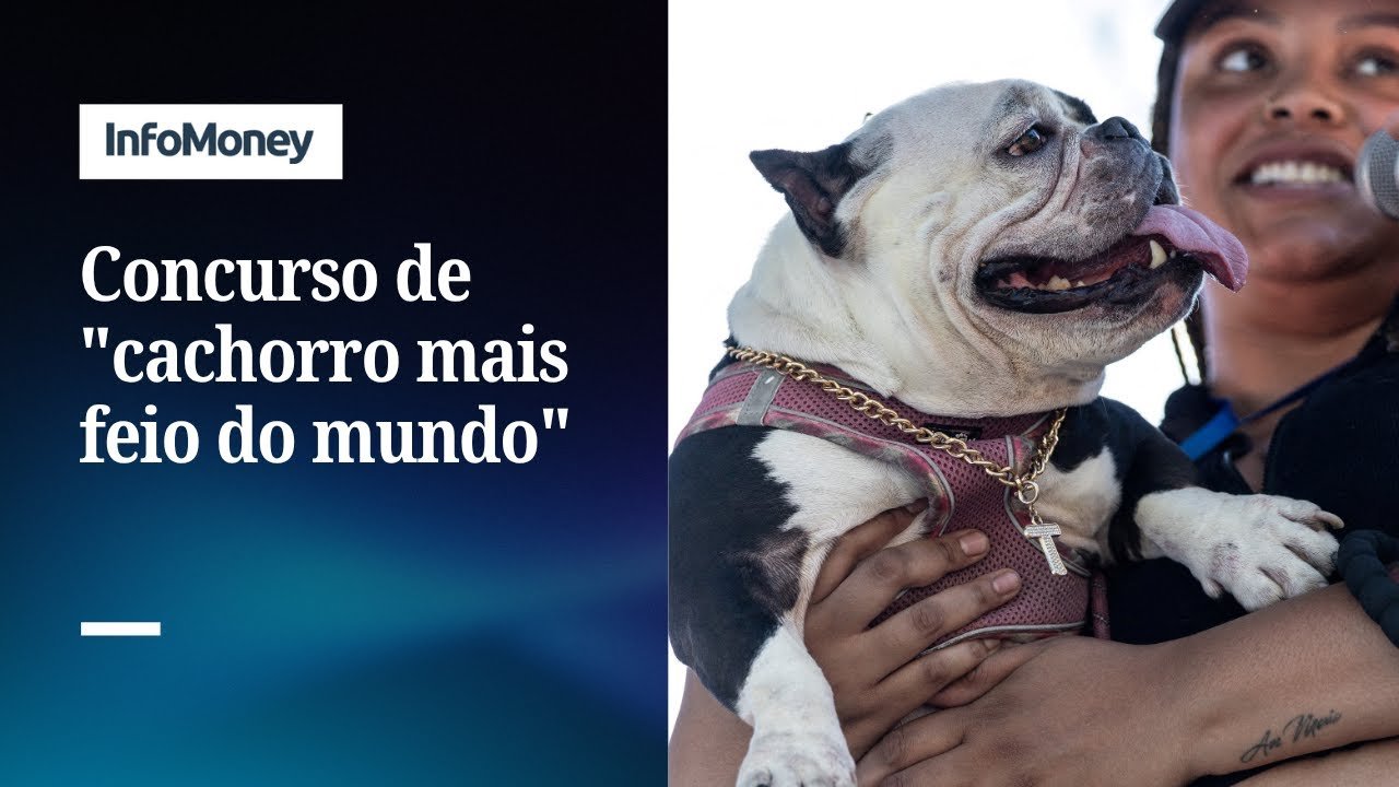 Concurso de “cachorro mais feio do mundo” acontece nos EUA