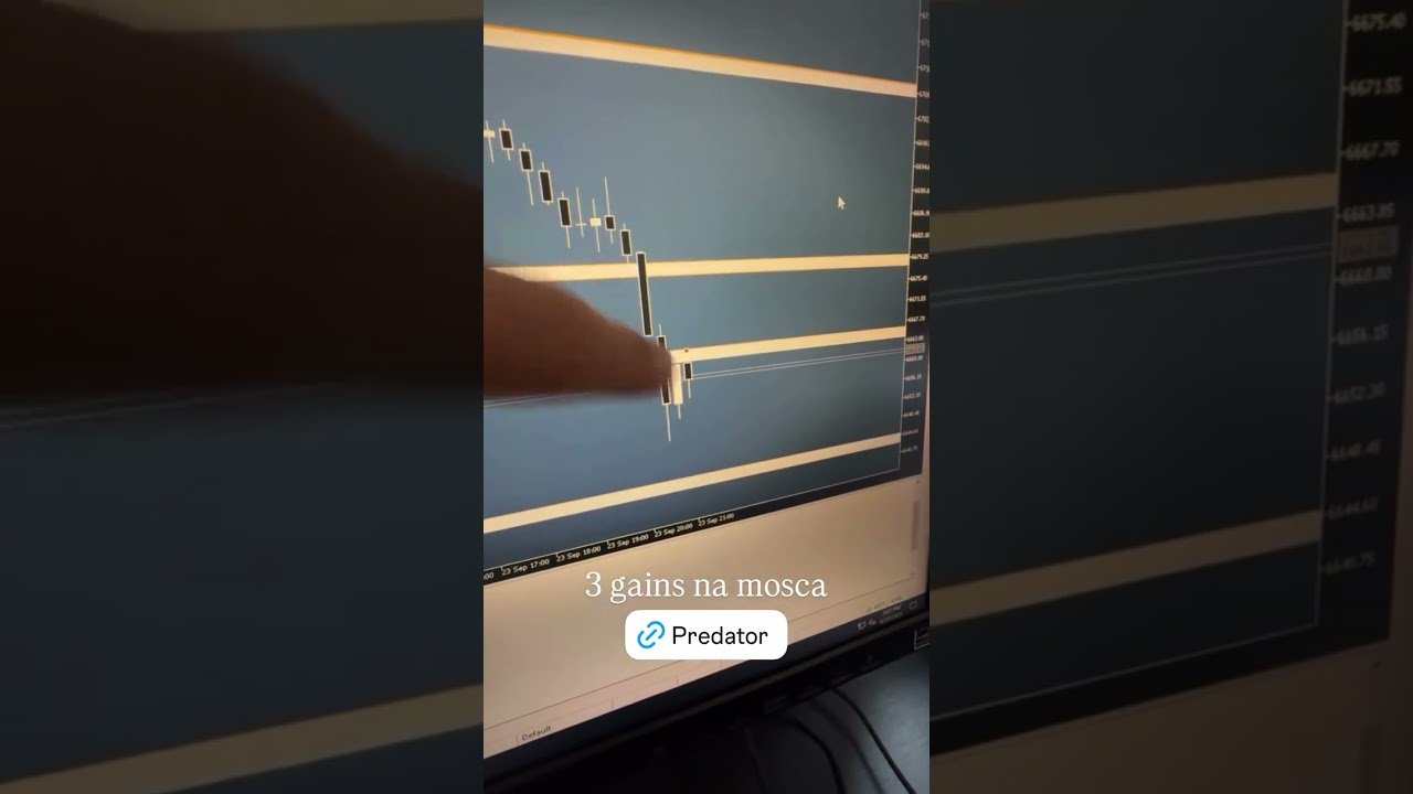 🦁 Robô Predator foi a caça