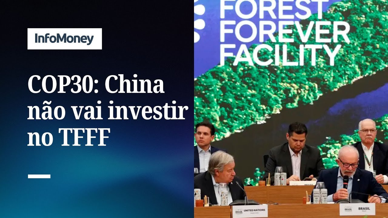 China decide não investir em fundo florestal criado pelo Brasil | InfoMoney News