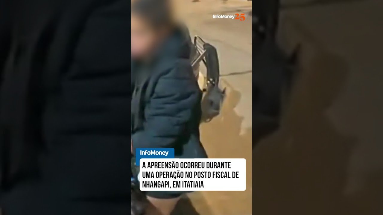 Mulher é presa por levar 30 armas de SP para o RJ em ônibus