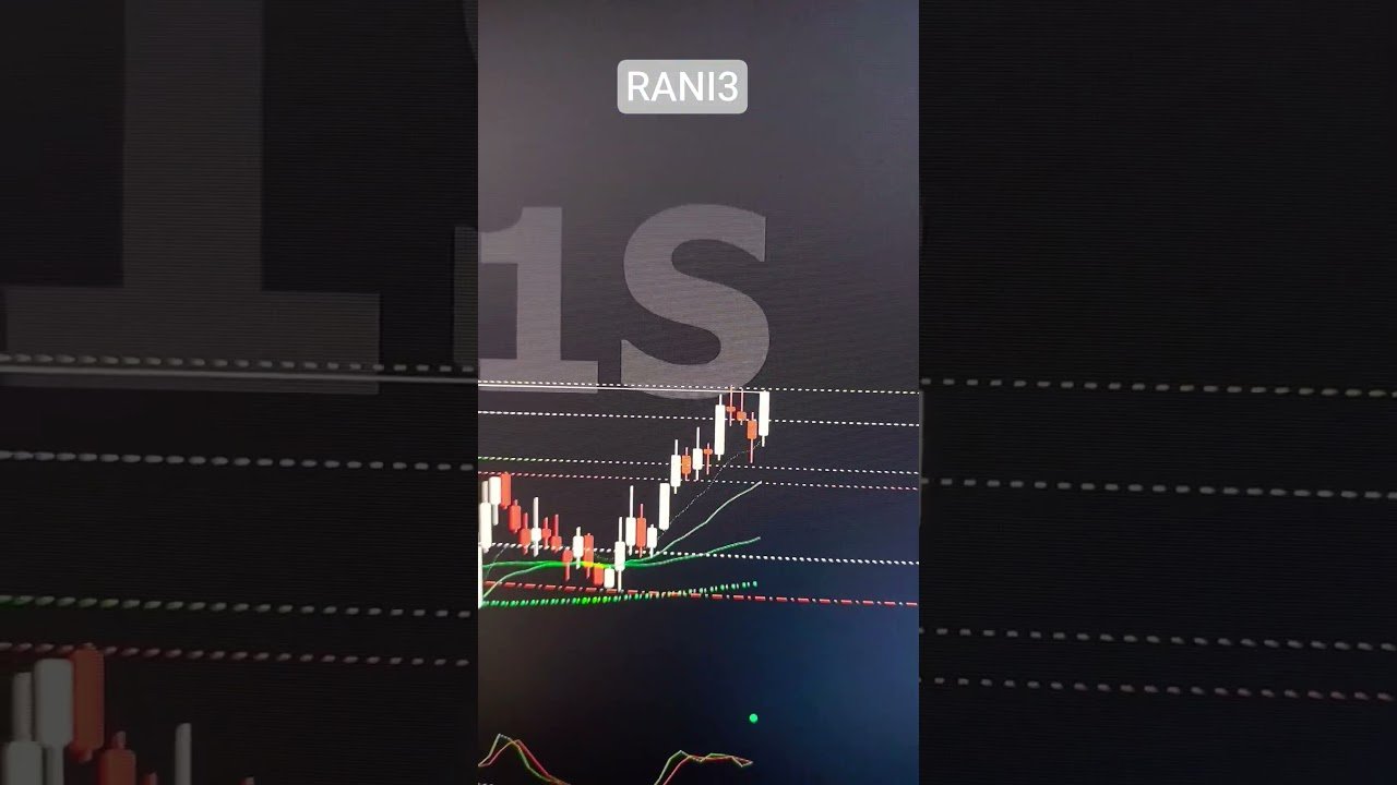POSITION TRADE (Compra RANI3) #análisetécnica #tradeiniciante #investimentos #daytrade