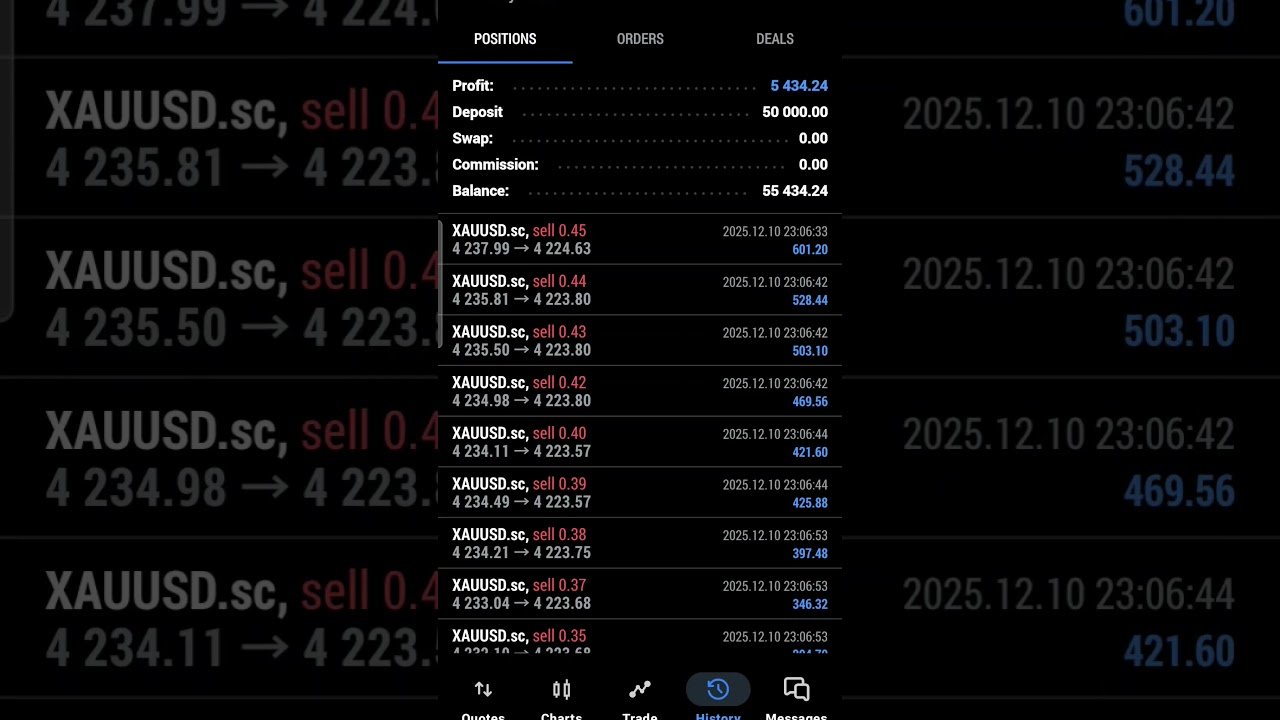 Robo Trading vs Manual Trading -REAL Comparison”