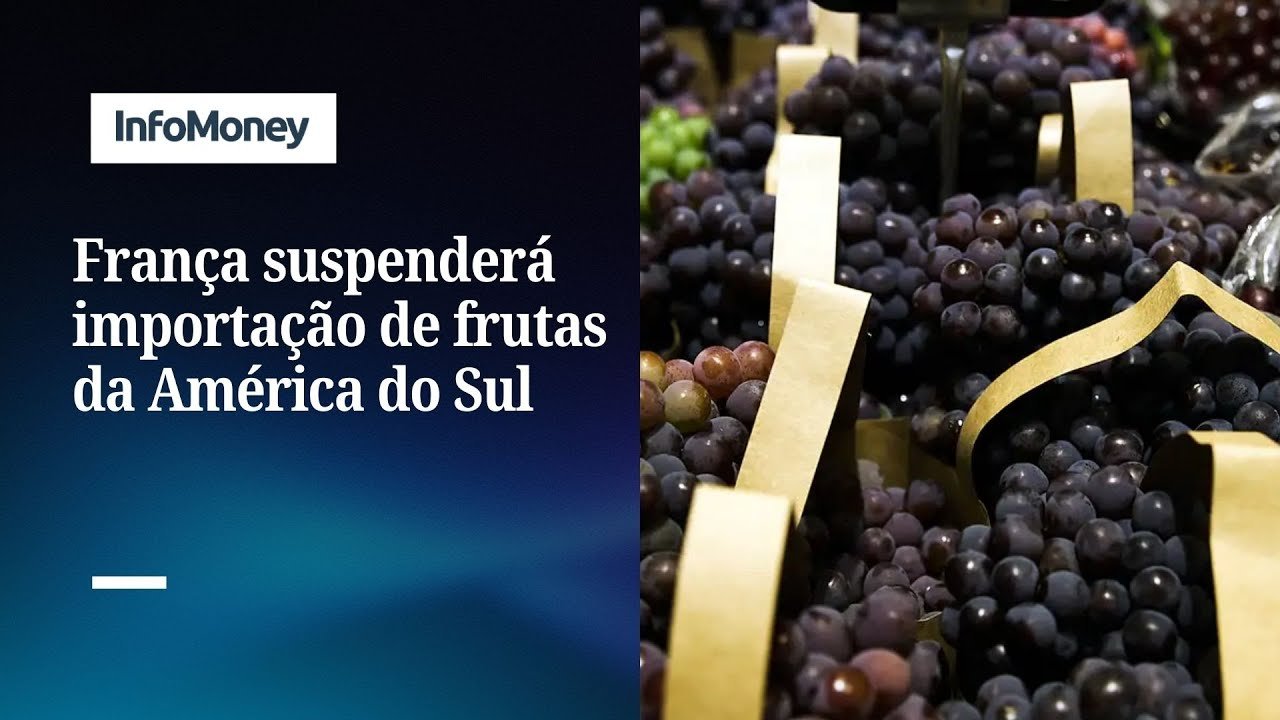 França suspenderá importação de frutas da América do Sul por uso de agrotóxicos | InfoMoney News