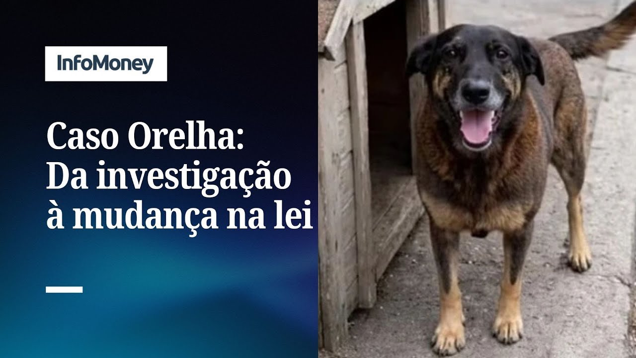 Caso Orelha: Polícia pede passaporte de menor e Senado endurece leis | InfoMoney News