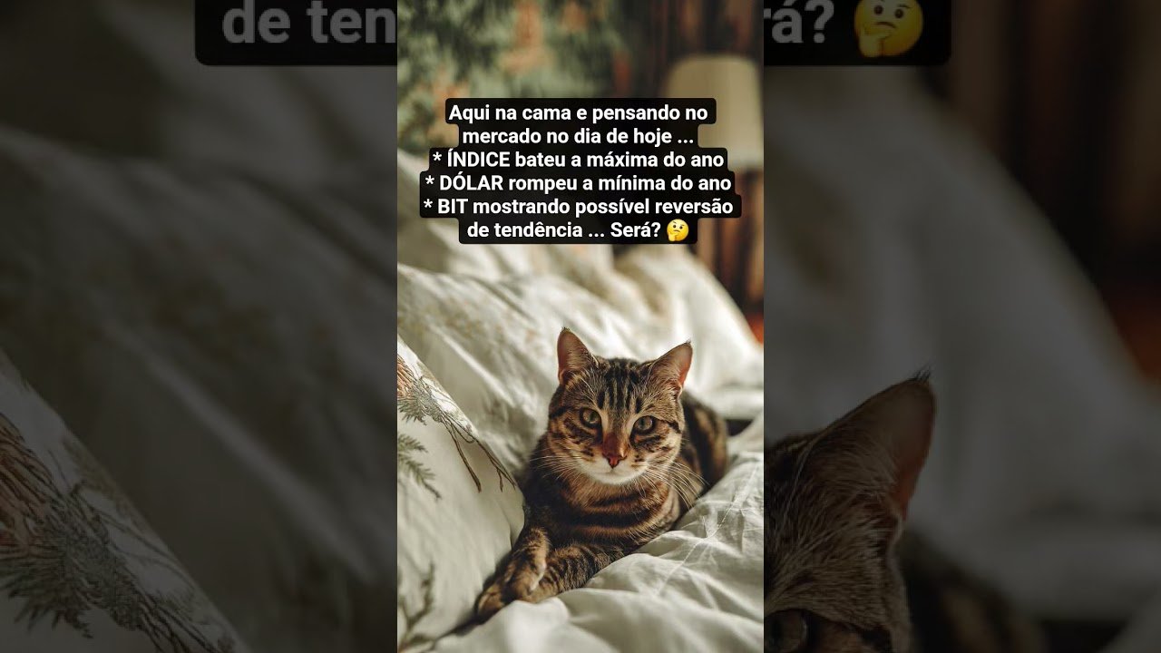 #daytrade #minidolar #miniindice #bitcoin #b3 #mercadofinanceiro #bolsadevalores #daytrader
