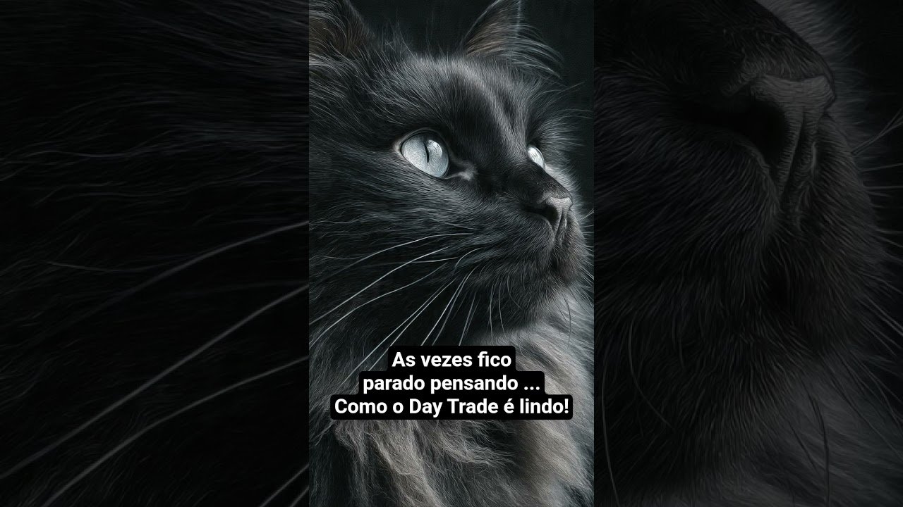 #daytrade #minidolar #miniindice #bitcoin #b3 #mercadofinanceiro #bolsadevalores #daytrader