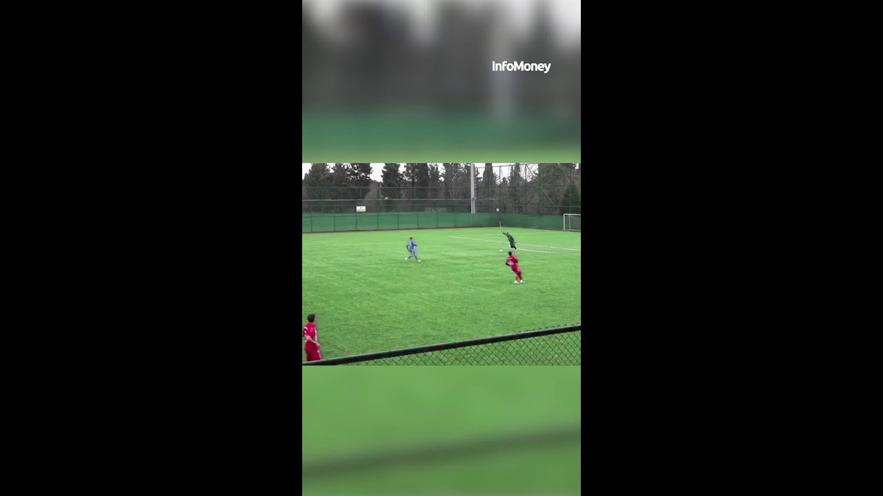 Gaivota atingida por bolada em jogo é reanimada por capitão de time