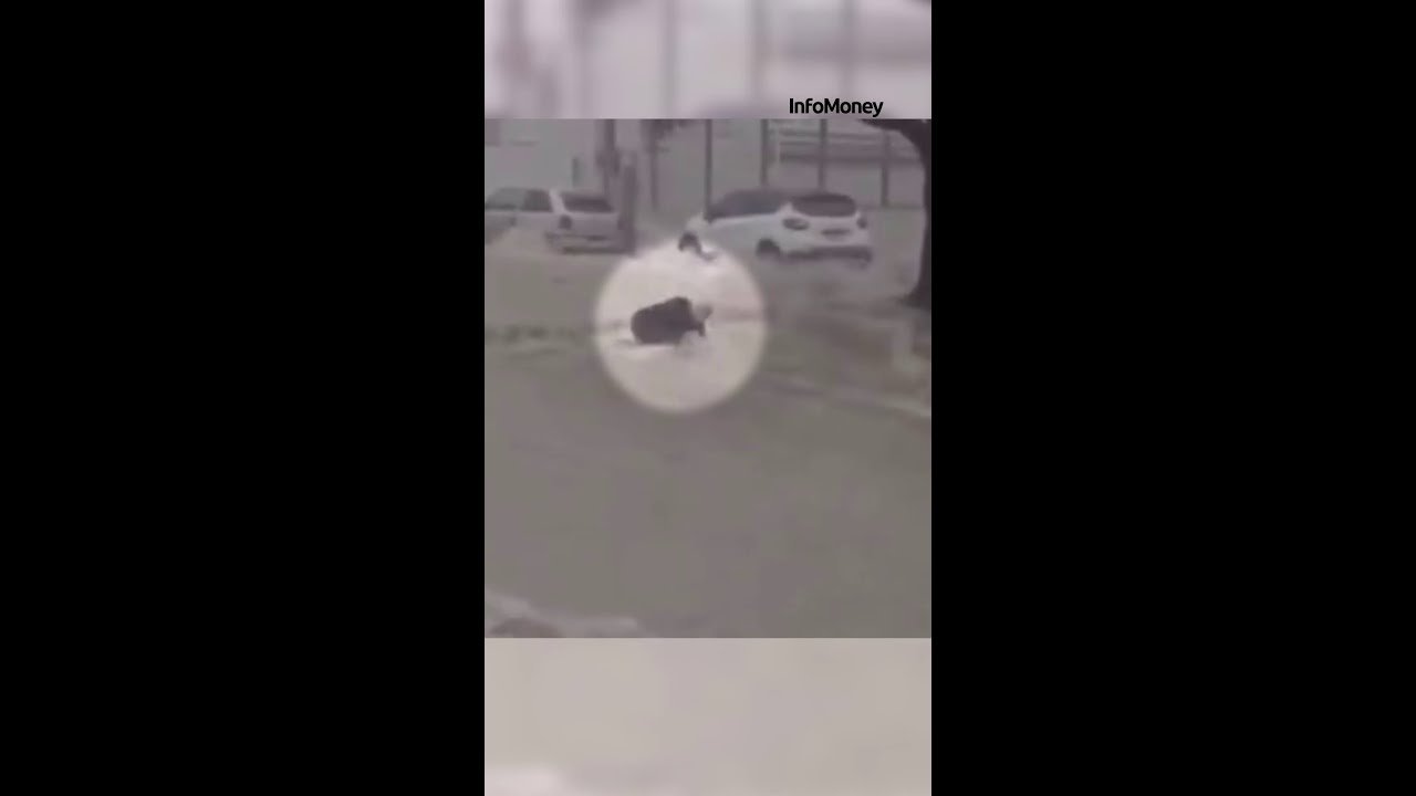 Idoso é arrastado por enxurrada durante temporal em Vitória da Conquista