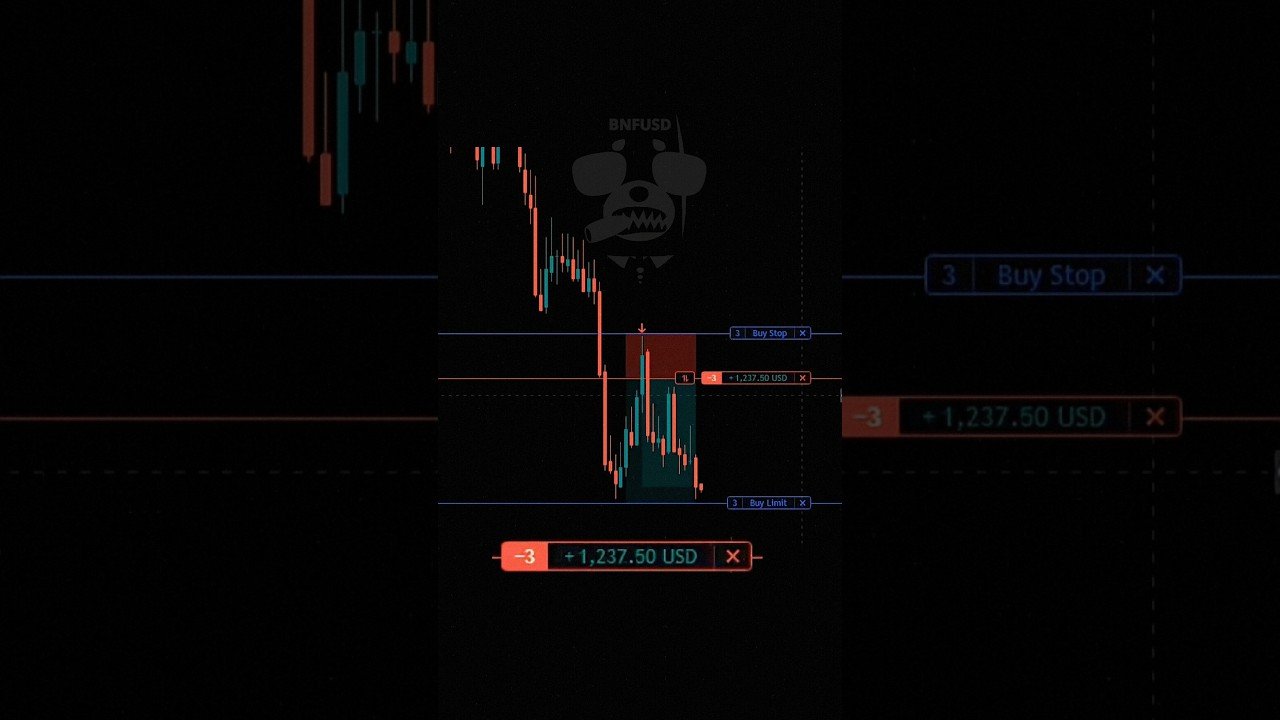 +$1300 Trading BNFUSD  #bnf #trading #daytrading #bnfusd
