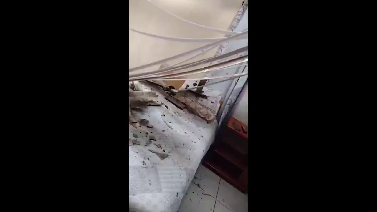 Boi sobe em telhado, fica preso em madeiras e causa estragos em casa