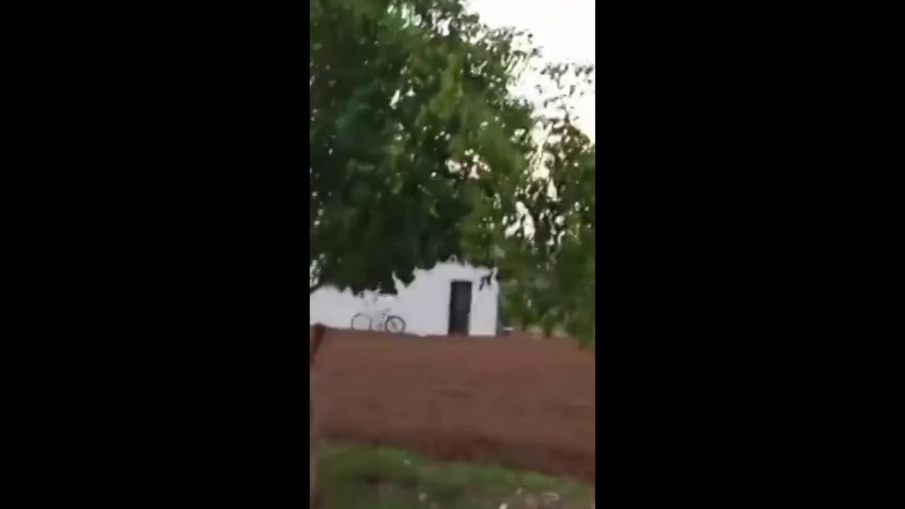 Piloto de ultraleve atinge fios de energia durante pouso e afeta 4,5 mil clientes