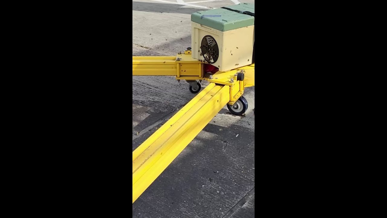 Enxame de abelhas fecha portão de embarque por 6 horas em aeroporto de Londres