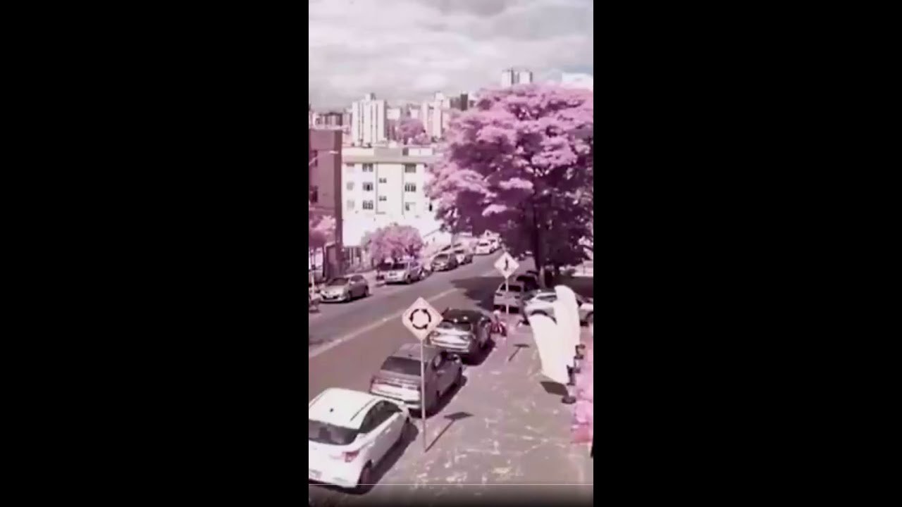Novo vídeo mostra queda de avião que atingiu prédio no bairro Silveira, em BH