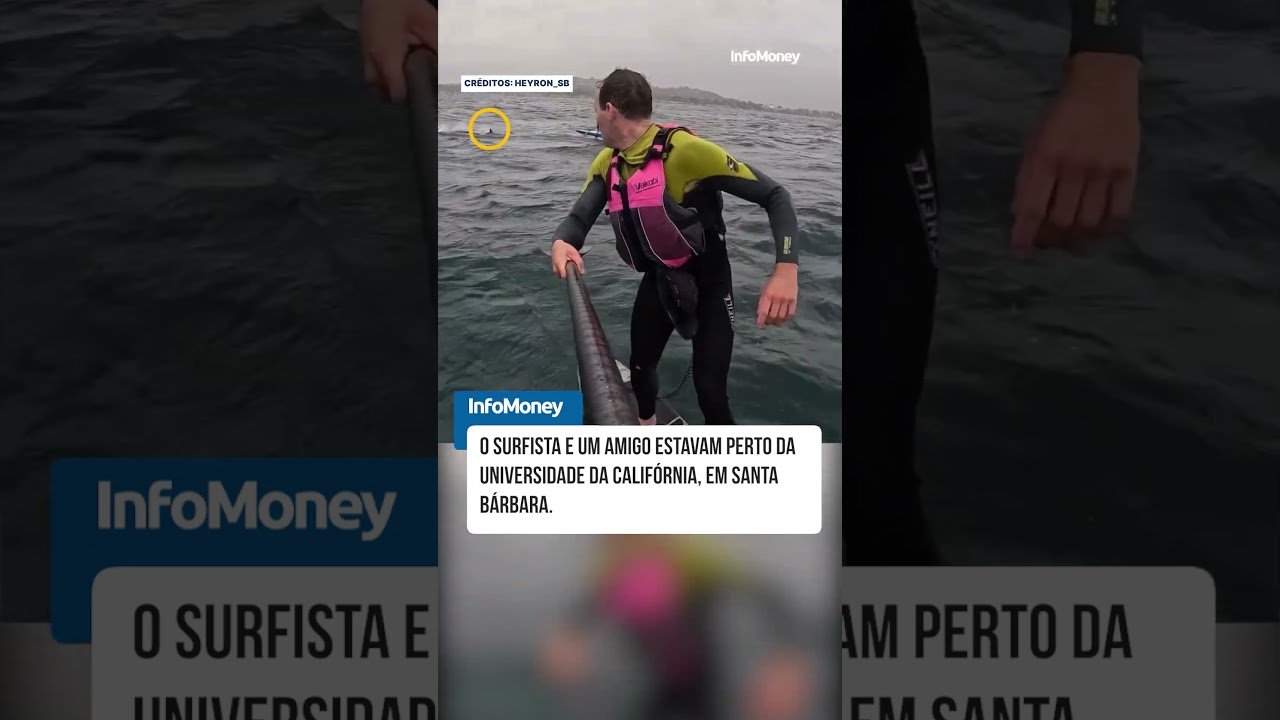 Surfista é perseguido por tubarão em mar aberto