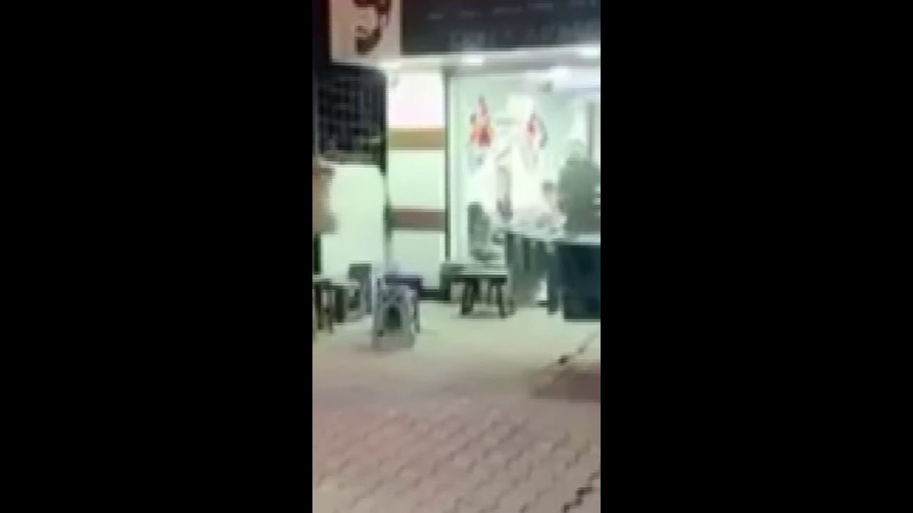 Touro invade barbearia e provoca correria em Istambul