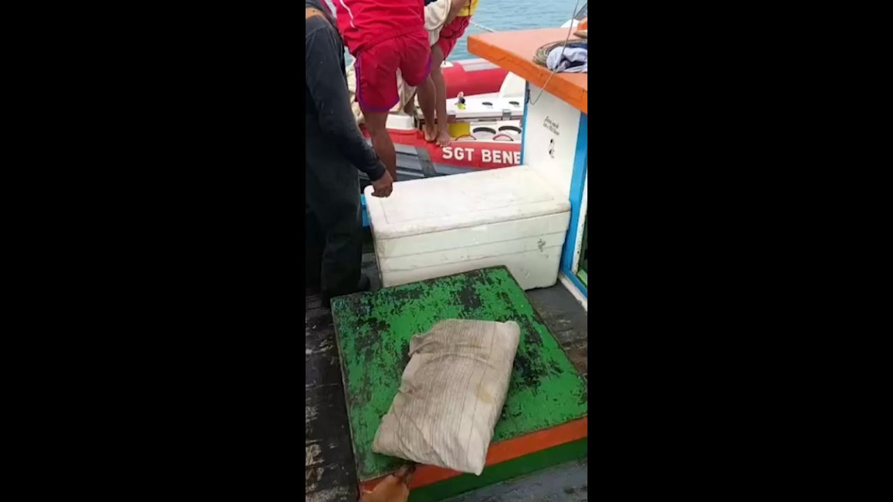 Vídeo mostra resgate de jovem encontrada viva à deriva após três dias no mar em Ilhabela