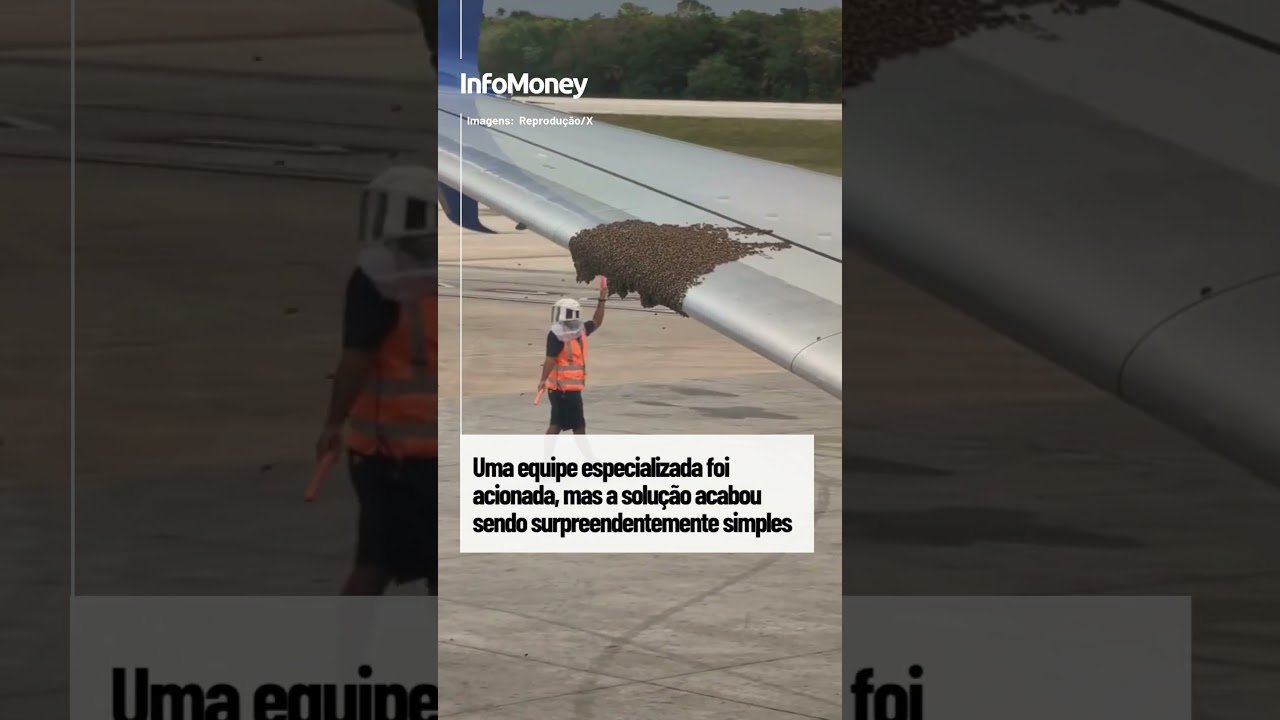 Enxame de abelhas ocupa asa de avião e atrasa decolagem no México
