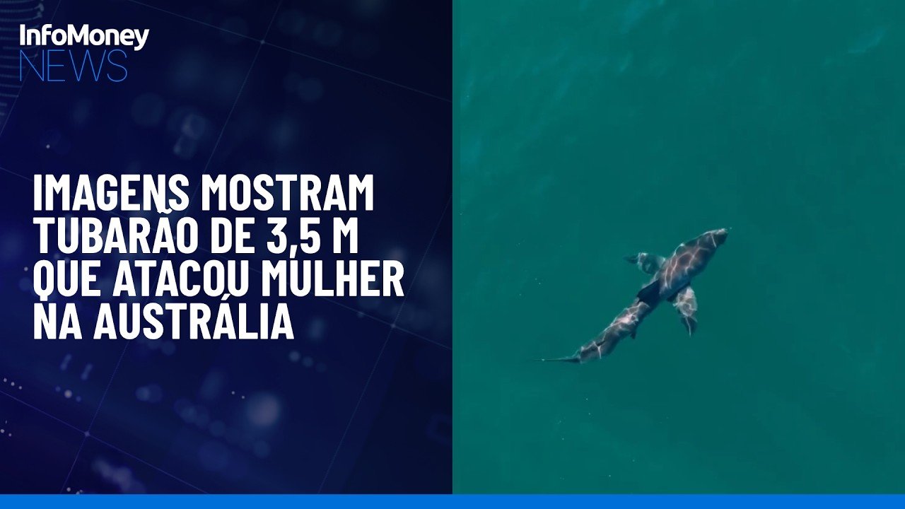 Imagens mostram tubarão de 3,5 m que atacou mulher na Austrália