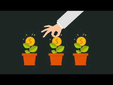 ONDE INVESTIR ? EP#14 tirando os papeis desinteressantes