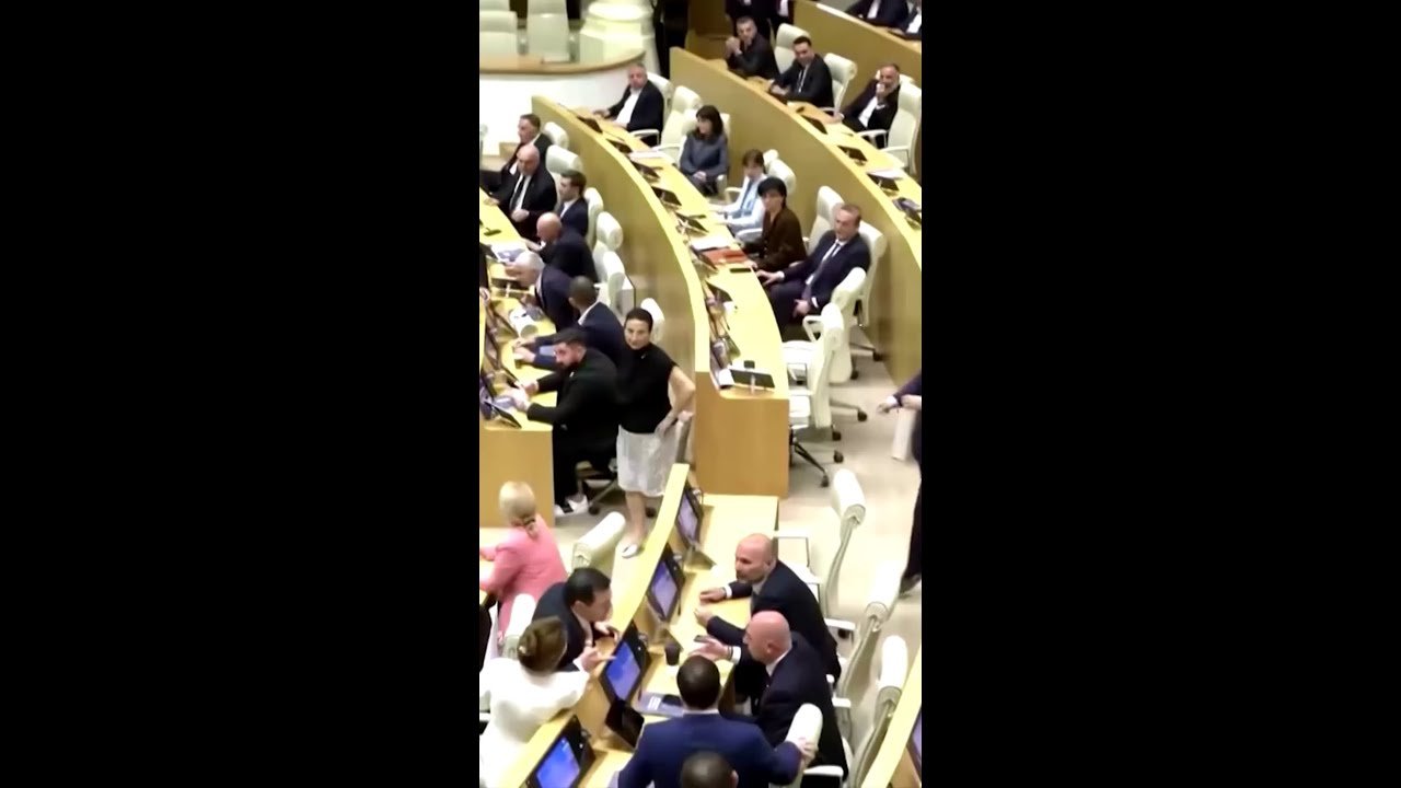 Sessão termina em pancadaria no Parlamento da Geórgia