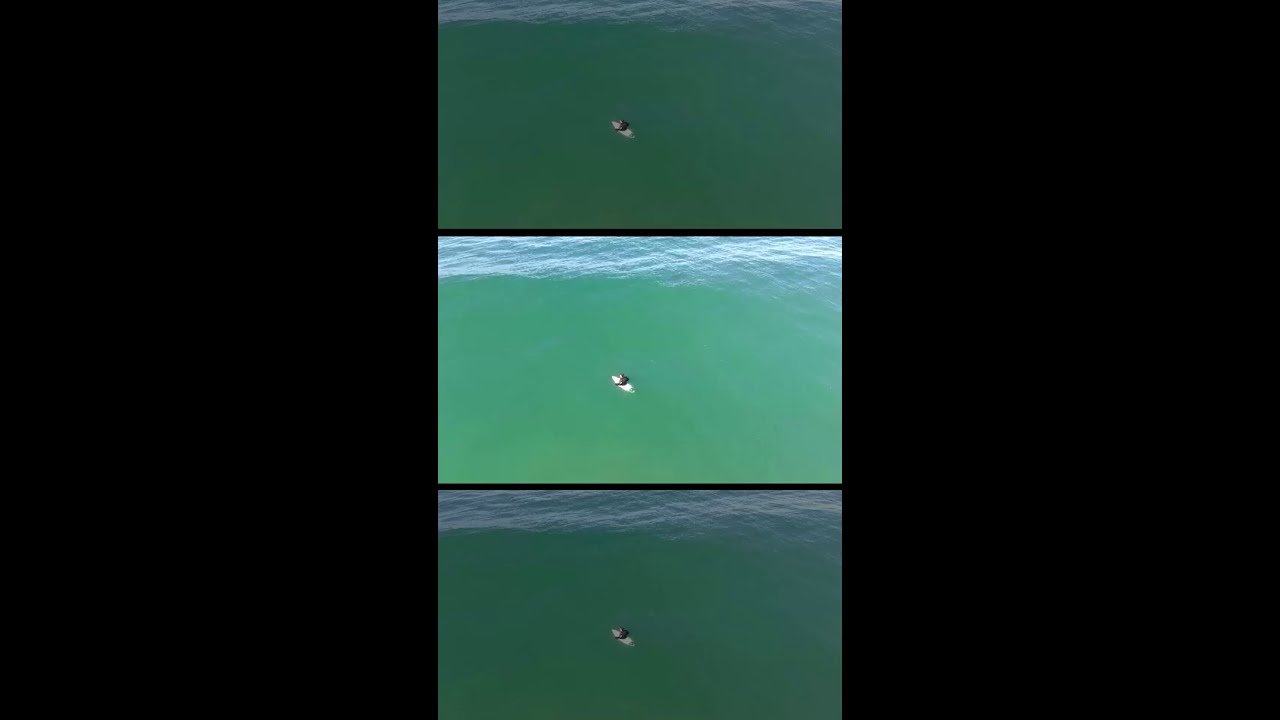 Tubarão circula surfista sozinho no mar e drone ajuda a alertá-lo