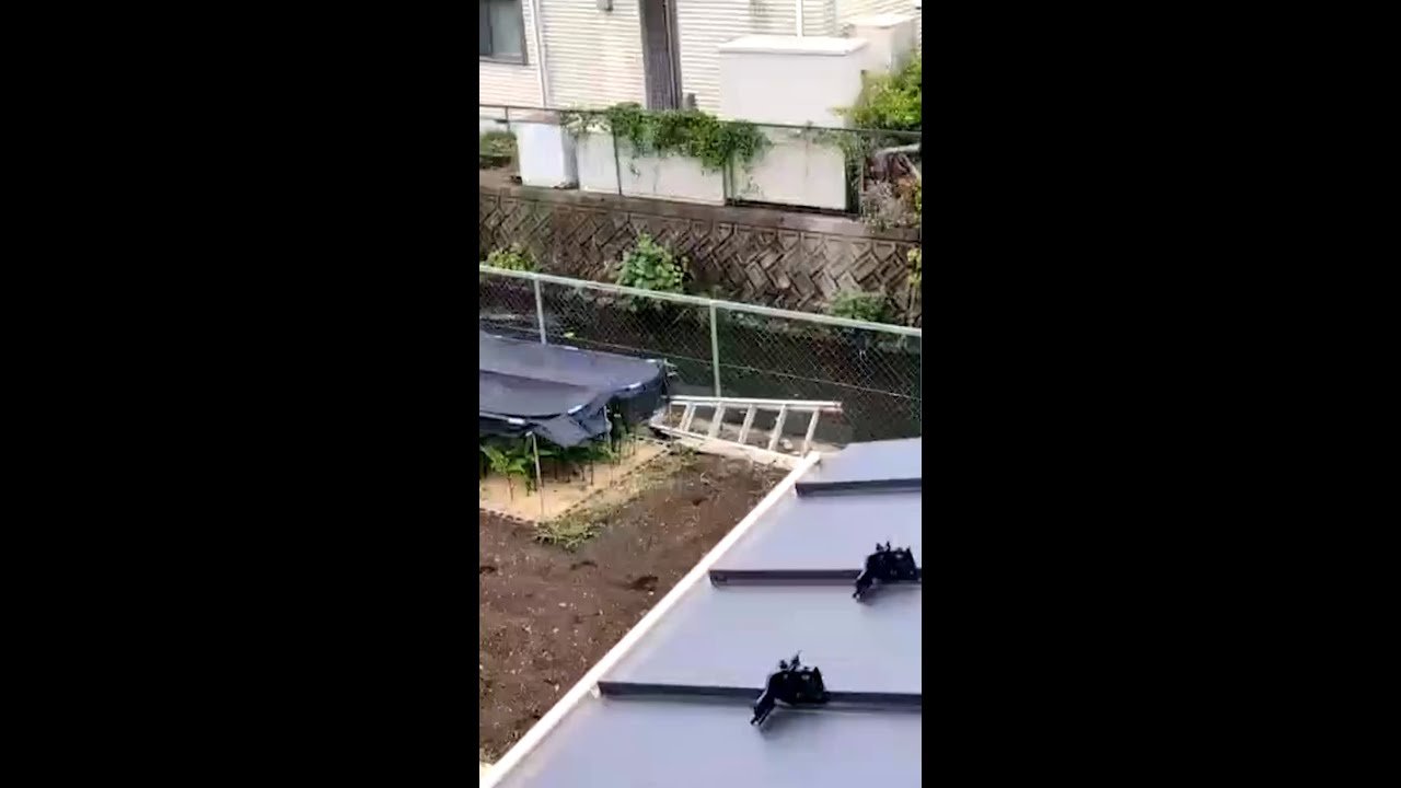 Urso é capturado após fechar escolas no Japão