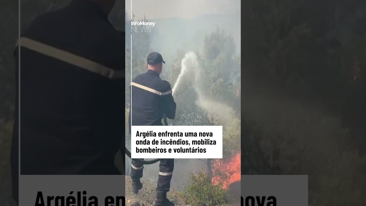 Argélia enfrenta uma nova onda de incêndios, mobiliza bombeiros e voluntários | InfoMoney News