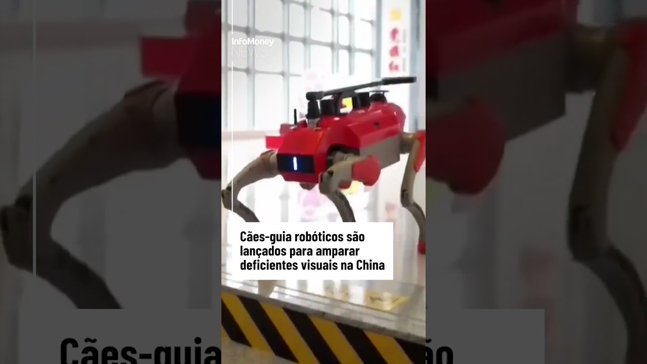 Cães-guia robóticos são lançados para amparar deficientes visuais na China | InfoMoney News