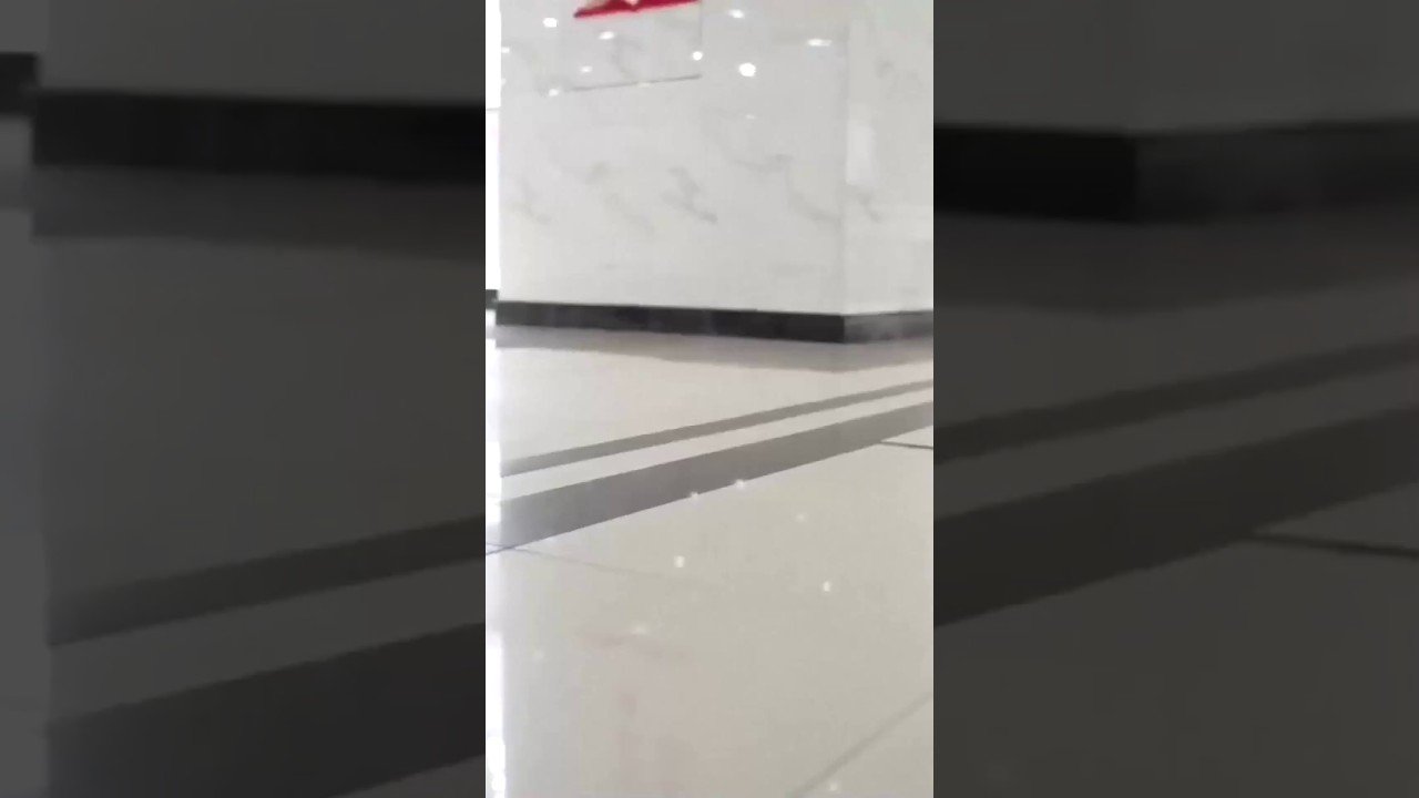 China testa cão-guia robô para ajudar pessoas com deficiência visual
