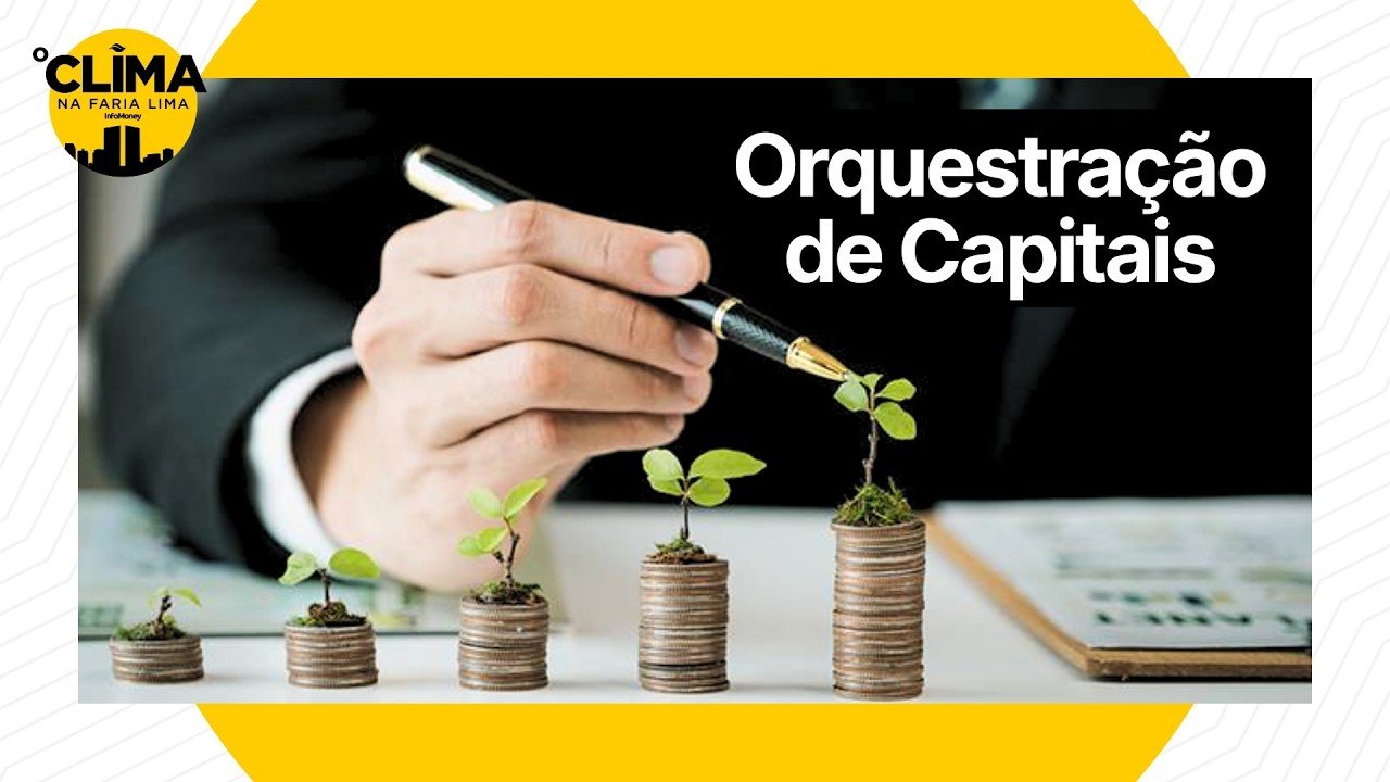 Como acessar e trabalhar com diferentes tipos de capital? | O Clima na Faria Lima