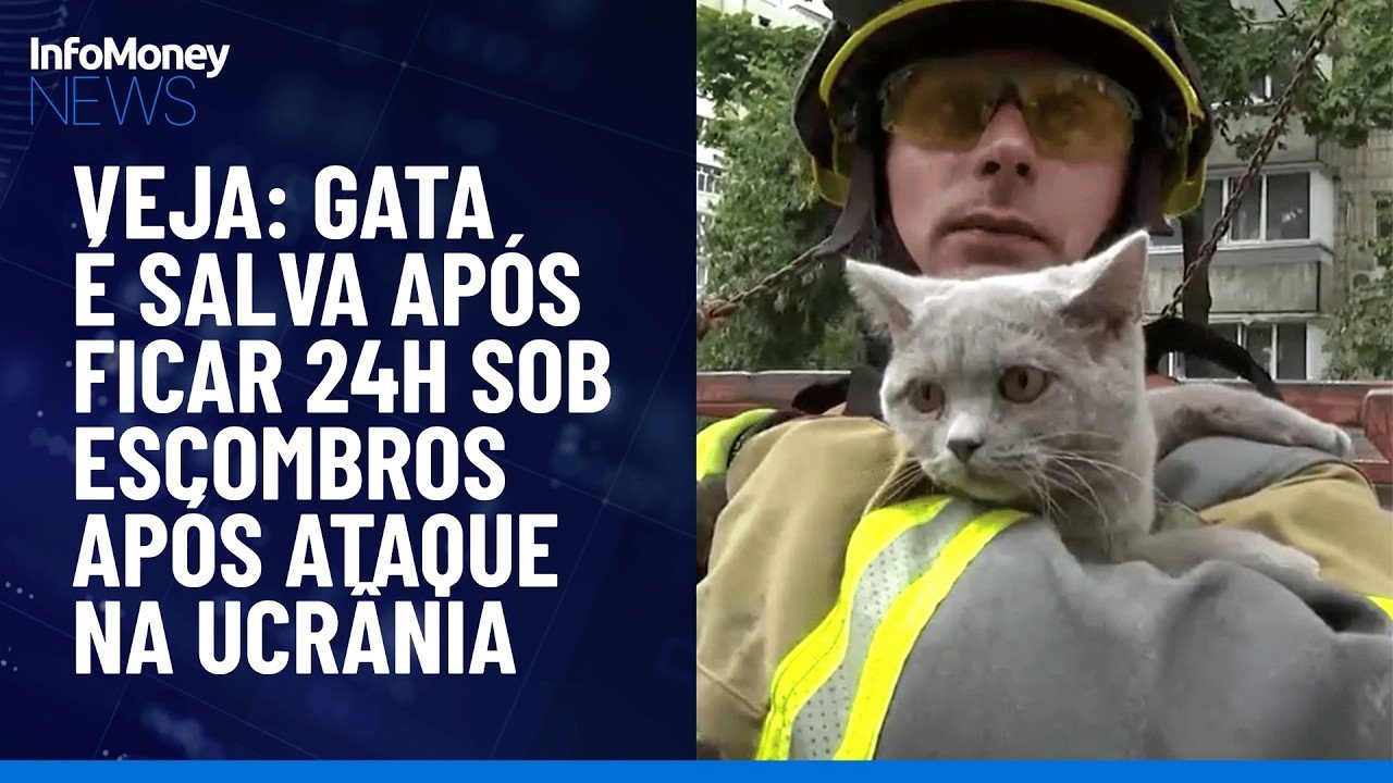 Ucrânia: Gata é resgatada após ataque mortal russo em Kiev | InfoMoney News